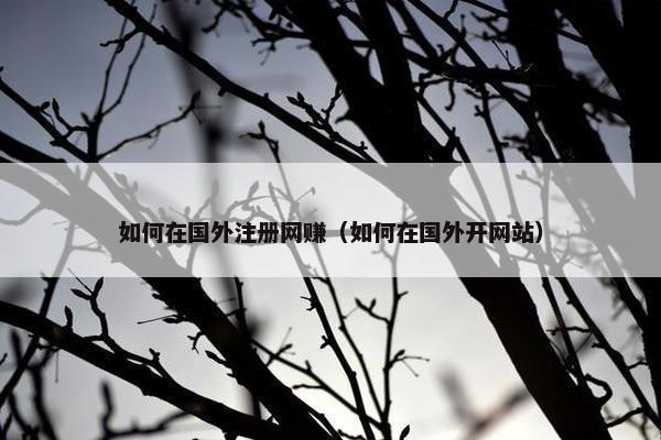 如何在国外注册网赚（如何在国外开网站）