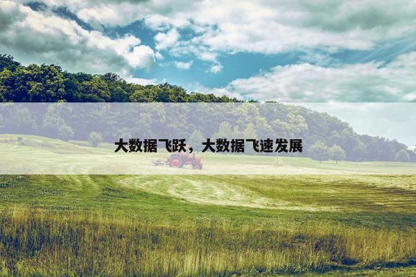 大数据飞跃，大数据飞速发展