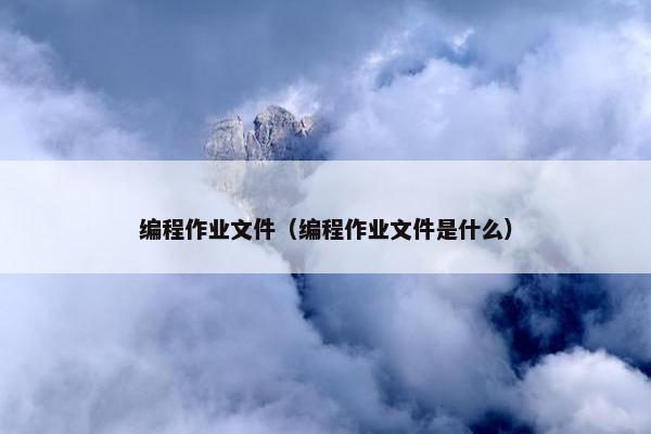 编程作业文件（编程作业文件是什么）