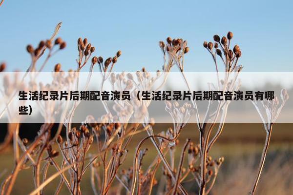生活纪录片后期配音演员（生活纪录片后期配音演员有哪些）