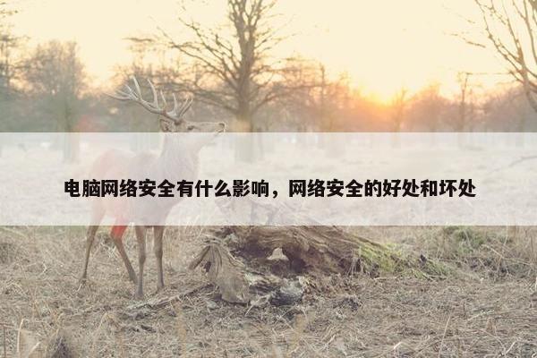 电脑网络安全有什么影响，网络安全的好处和坏处