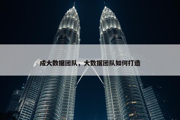 成大数据团队，大数据团队如何打造
