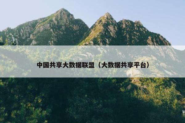 中国共享大数据联盟（大数据共享平台）