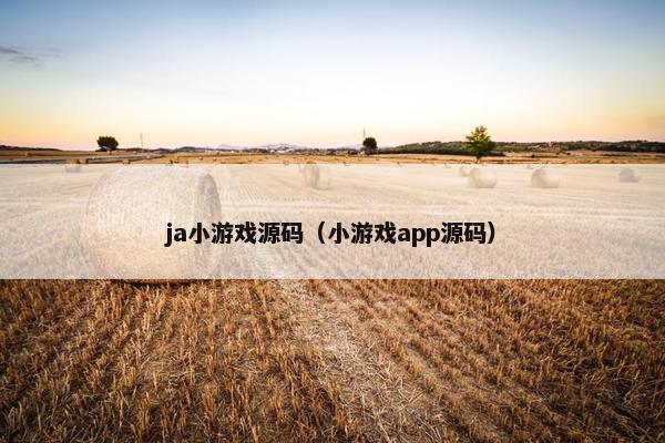 ja小游戏源码（小游戏app源码）
