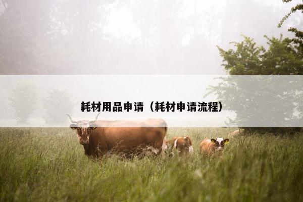 耗材用品申请（耗材申请流程）