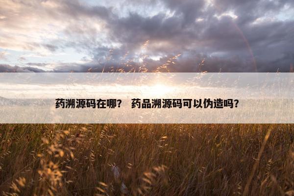 药溯源码在哪？ 药品溯源码可以伪造吗？