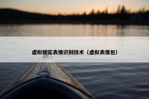 虚拟现实表情识别技术（虚拟表情包）