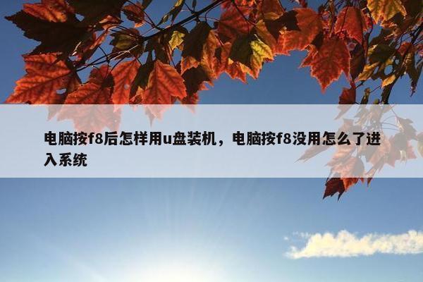 电脑按f8后怎样用u盘装机，电脑按f8没用怎么了进入系统
