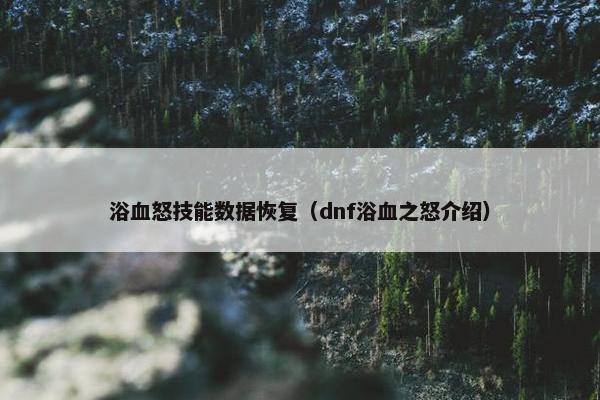 浴血怒技能数据恢复（dnf浴血之怒介绍）