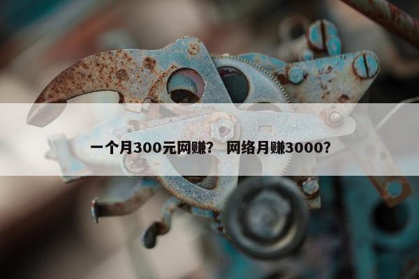 一个月300元网赚？ 网络月赚3000？
