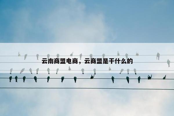 云南商盟电商，云商盟是干什么的