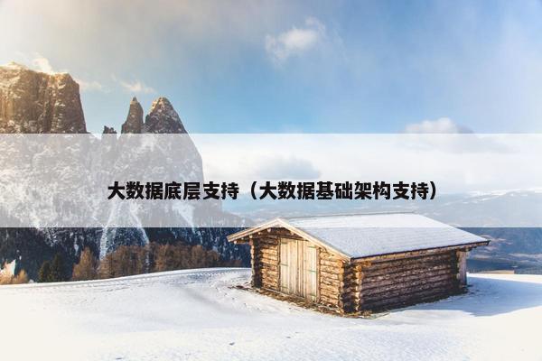 大数据底层支持（大数据基础架构支持）