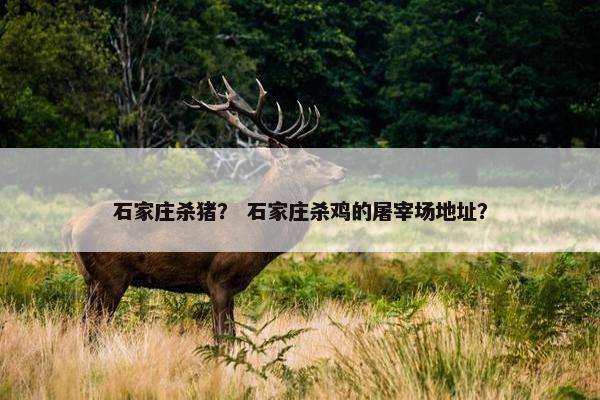 石家庄杀猪？ 石家庄杀鸡的屠宰场地址？