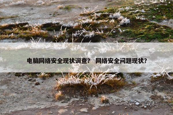 电脑网络安全现状调查？ 网络安全问题现状？