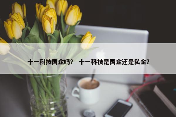 十一科技国企吗？ 十一科技是国企还是私企？