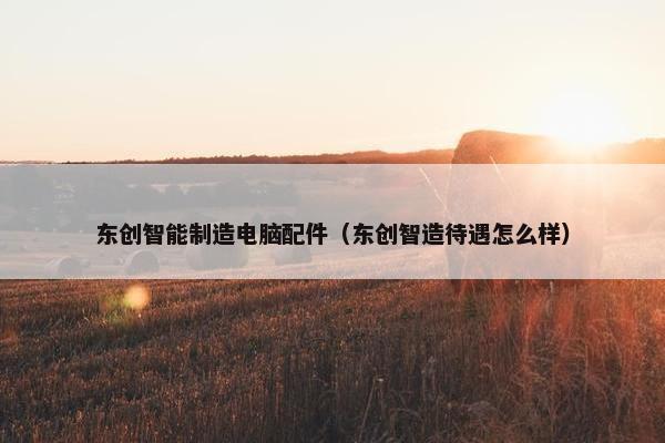 东创智能制造电脑配件（东创智造待遇怎么样）