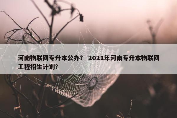 河南物联网专升本公办？ 2021年河南专升本物联网工程招生计划？