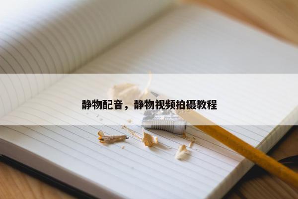 静物配音，静物视频拍摄教程
