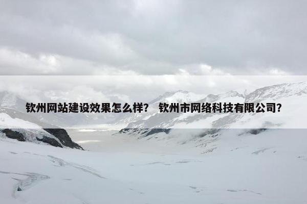 钦州网站建设效果怎么样？ 钦州市网络科技有限公司？