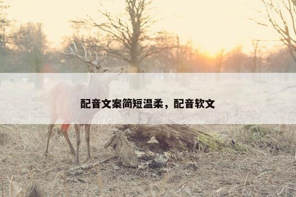 配音文案简短温柔，配音软文