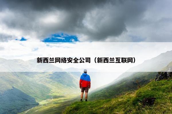 新西兰网络安全公司（新西兰互联网）