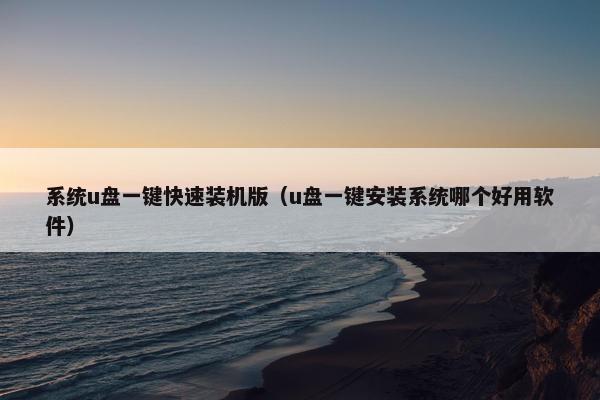系统u盘一键快速装机版（u盘一键安装系统哪个好用软件）