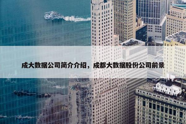 成大数据公司简介介绍，成都大数据股份公司前景