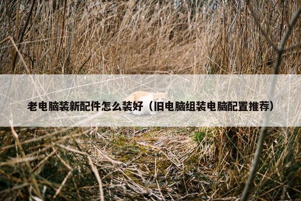 老电脑装新配件怎么装好（旧电脑组装电脑配置推荐）