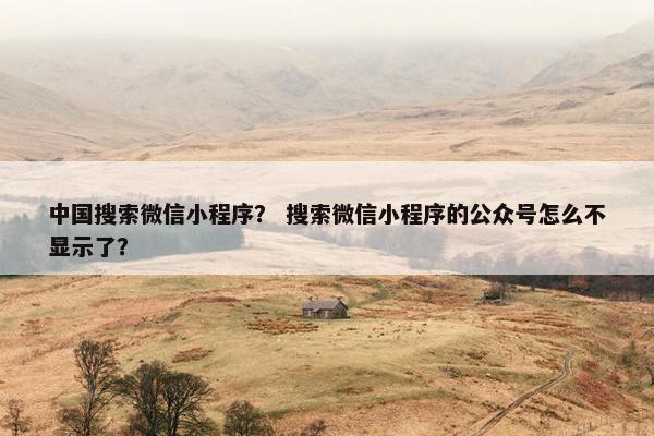 中国搜索微信小程序？ 搜索微信小程序的公众号怎么不显示了？