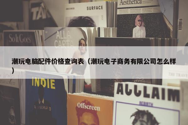 潮玩电脑配件价格查询表（潮玩电子商务有限公司怎么样）