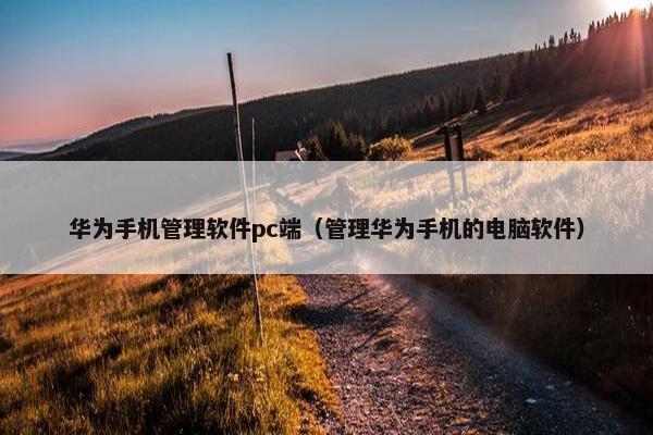 华为手机管理软件pc端（管理华为手机的电脑软件）