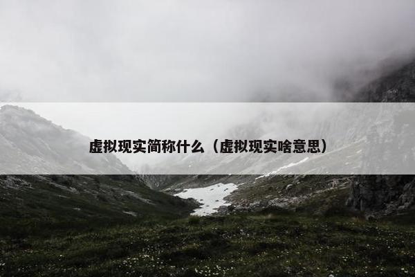 虚拟现实简称什么（虚拟现实啥意思）