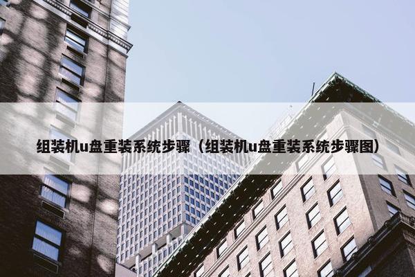 组装机u盘重装系统步骤（组装机u盘重装系统步骤图）