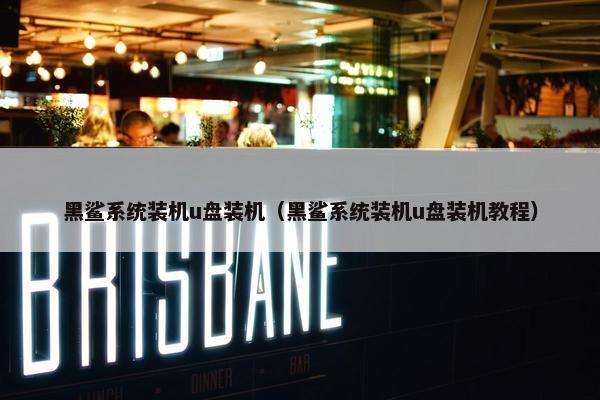 黑鲨系统装机u盘装机（黑鲨系统装机u盘装机教程）
