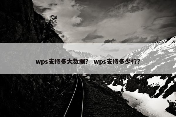 wps支持多大数据？ wps支持多少行？