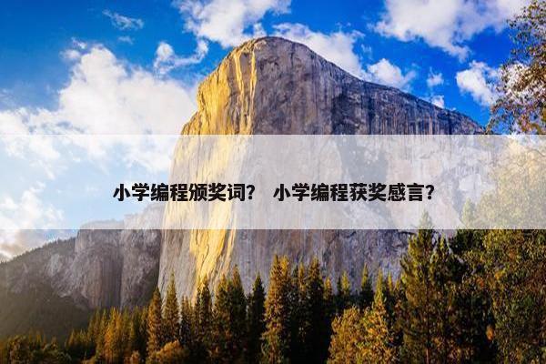 小学编程颁奖词？ 小学编程获奖感言？