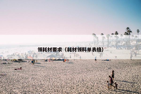 领耗材要求（耗材领料单表格）