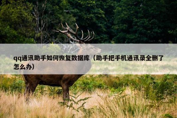 qq通讯助手如何恢复数据库（助手把手机通讯录全删了怎么办）