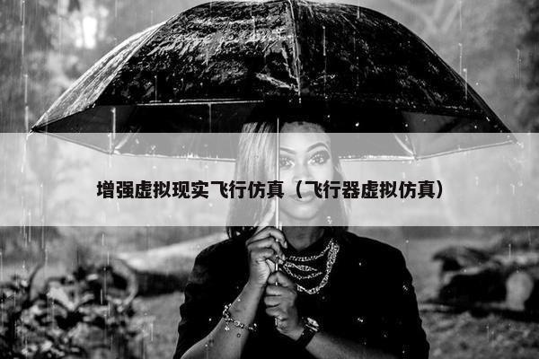 增强虚拟现实飞行仿真（飞行器虚拟仿真）