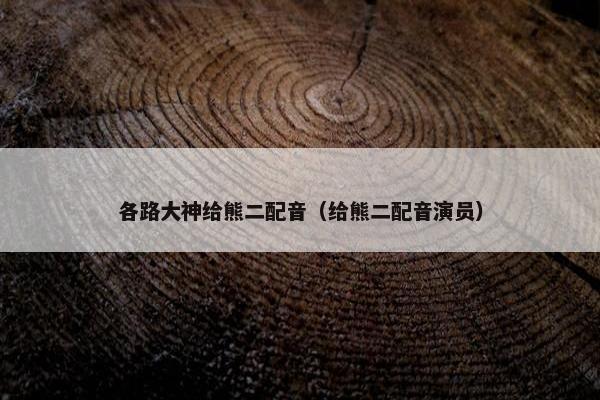 各路大神给熊二配音（给熊二配音演员）