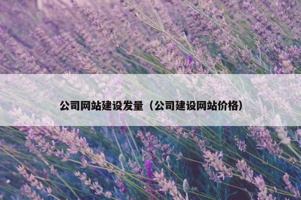 公司网站建设发量（公司建设网站价格）