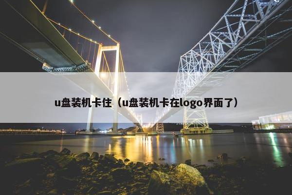 u盘装机卡住（u盘装机卡在logo界面了）