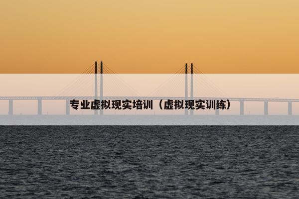 专业虚拟现实培训（虚拟现实训练）