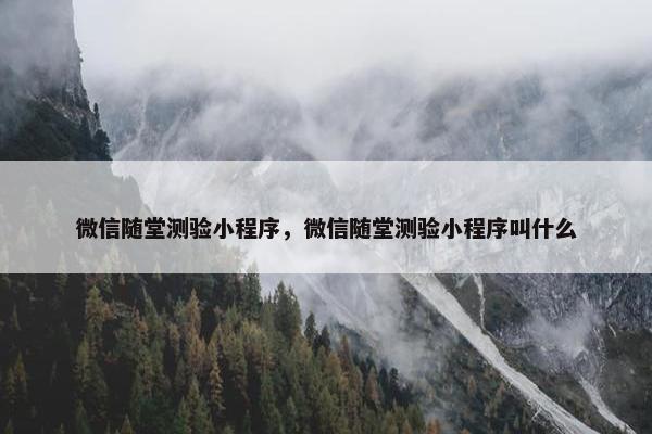 微信随堂测验小程序，微信随堂测验小程序叫什么