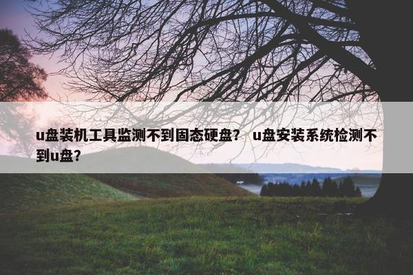 u盘装机工具监测不到固态硬盘？ u盘安装系统检测不到u盘？