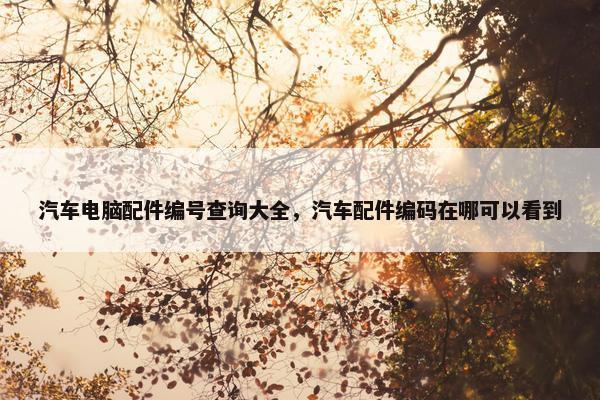 汽车电脑配件编号查询大全，汽车配件编码在哪可以看到