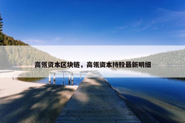 高瓴资本区块链，高瓴资本持股最新明细