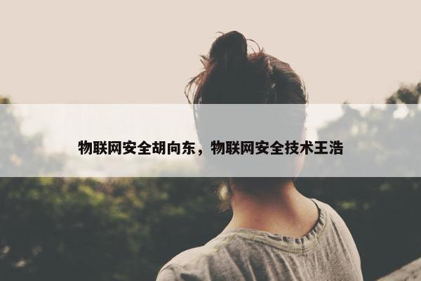 物联网安全胡向东，物联网安全技术王浩