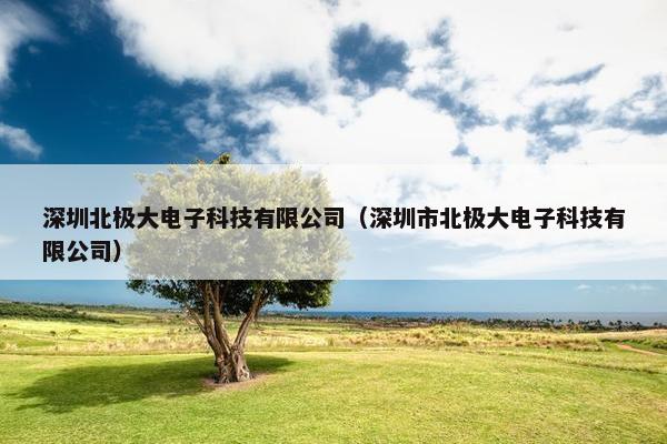 深圳北极大电子科技有限公司（深圳市北极大电子科技有限公司）