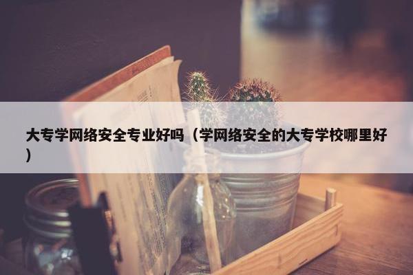 大专学网络安全专业好吗（学网络安全的大专学校哪里好）